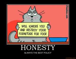 honestcat